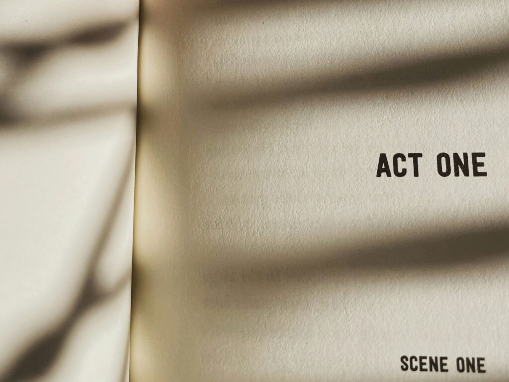 Starting a company represented as Act One, Scene One of a play.